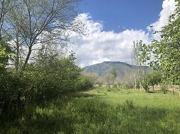 с нижняя ала арча: 50 соток, Для сельского хозяйства, Красная книга — 6