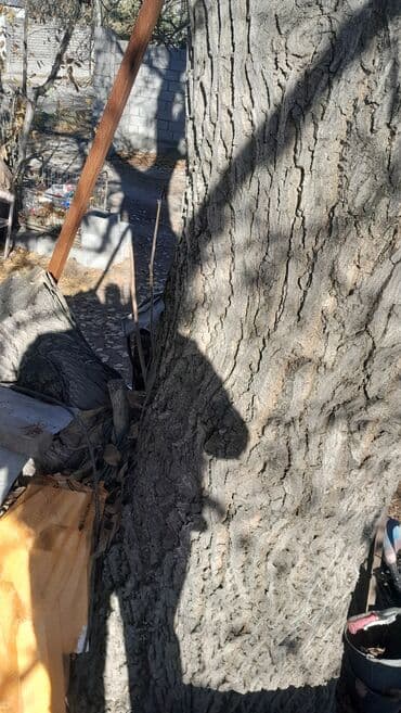 бу спальный гарнитур бишкек цены: Жаңгак багы сатылат — 6