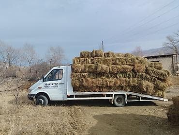 a 70: С жёсткой сцепкой, С частичной погрузкой, С лебедкой — 3