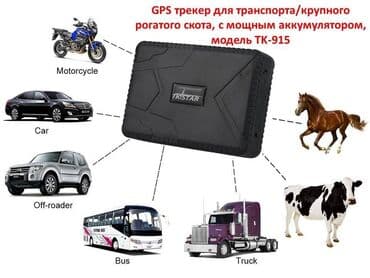 купить gps навигатор для автомобиля: GPS-трекер tkstar TK-915 с большим аккумулятором ёмкостью 10000mAh — 1