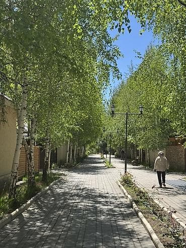 Коттедж в пансионате «Лагуна», с. Кожояр 👨‍👩‍👧‍👦 6 человек 💵 150$ в — 8