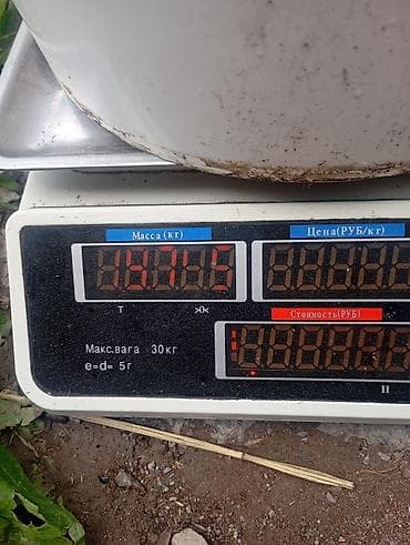 весы масса к: Торговые электронные весы - Предел взвешивания: до 30 кг - Цена — 1
