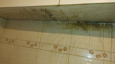 оборудование для стирки ковров: Уборка помещений, | Генеральная уборка, Ежедневная уборка, Уборка после ремонта, | Офисы, Квартиры, Дома — 6