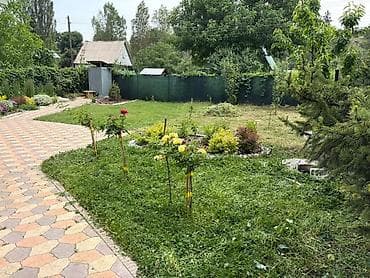 услуга газон: Уборка территории, Стрижка газона — 8