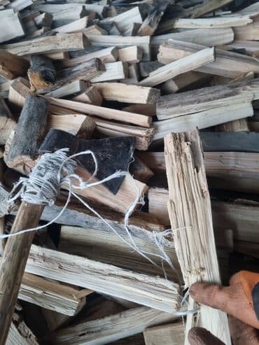 инструменты бишкек цена: Дрова Тополь, Бесплатная доставка — 4