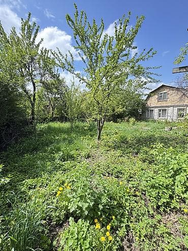цо солнышко: 🌿 ДАЧА В ГОРНОМ ВЕТЕРКЕ — ВАШЕ СПАСЕНИЕ ОТ ГОРОДСКОЙ ЖАРЫ И СМОГА! 🌿 — 5