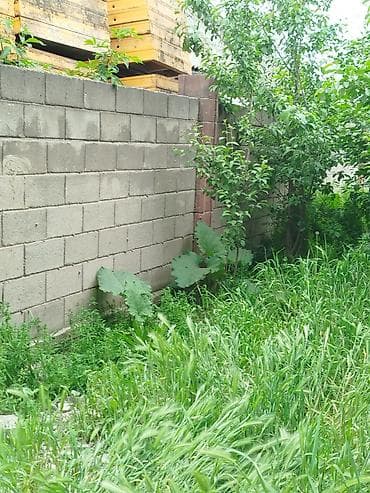 дачные работы: Здравствуйте всем мы пропалываем огороды нас 2 человек цена договорная — 3