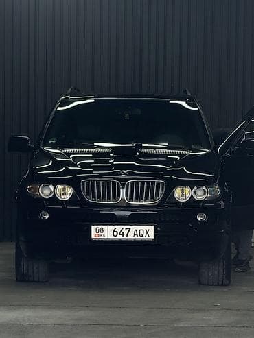 фара е53: BMW X5: 2006 г., 3 л, Типтроник, Дизель, Кроссовер — 4