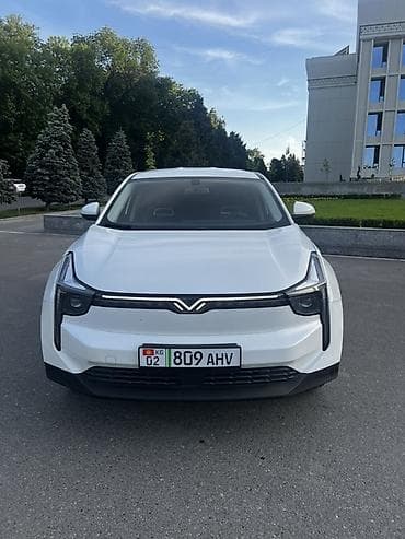 Voyah: Voyah : 2022 г., Электромобиль, Кроссовер — 1