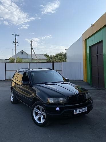 BMW X5: 2003 г., 3 л, Автомат, Дизель, Внедорожник