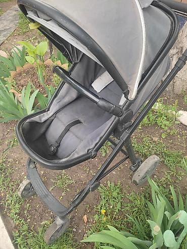 Птицы: На выбор. Если интересно цены уточняем здесь или звоним! — 8