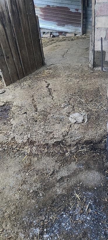 Все для дома и сада: Навоз с подстилкой из соломы. Подходит для удобрения огорода, сада — 2