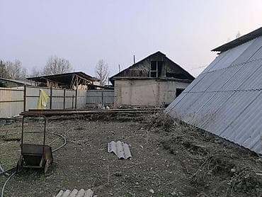 купить участок в балыкчы: 13 соток, Для бизнеса, Красная книга — 9