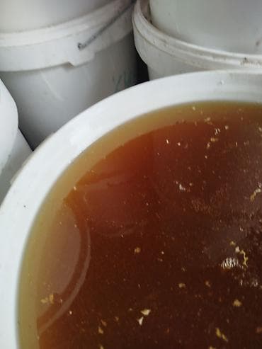 Каркаринский горный мёд оптом. 400 сом at lalafo.kg Каркаринский горный мёд оптом. 400 сом