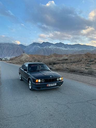 гофра е34: BMW 5 series: 1990 г., 2 л, Седан — 6
