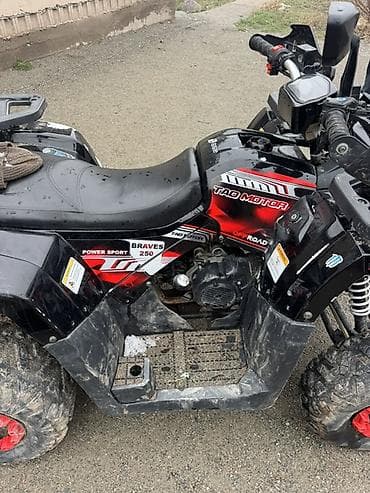 Квадроциклы: Квадроцикл Бензин, 250 куб. см, Взрослый — 7