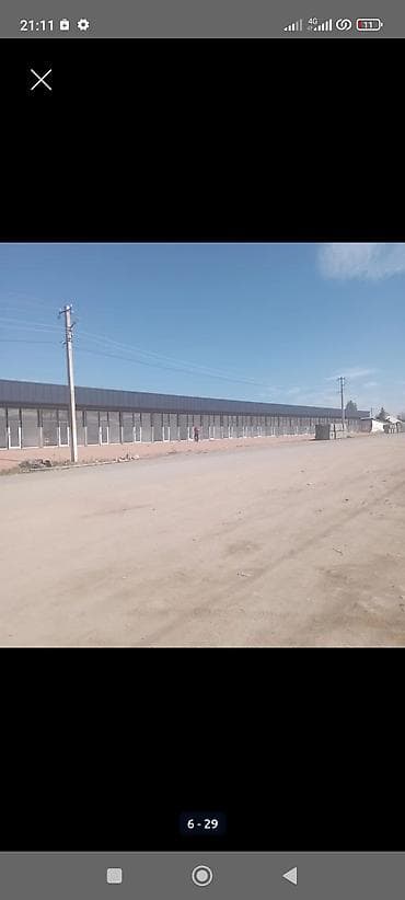 студия бишкек: 25 соток — 6