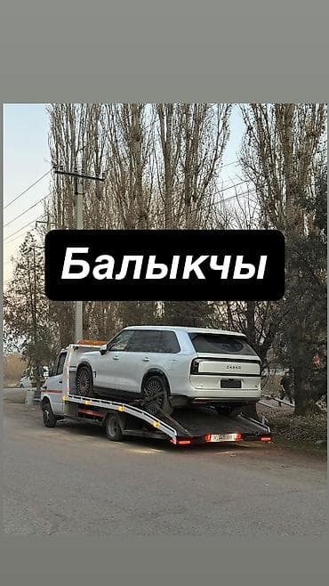стирка ковров бишкек: С лебедкой, С манипулятором, Со сдвижной платформой — 1