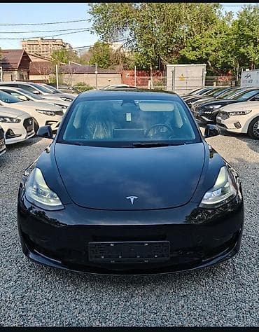Tesla: Tesla Model 3: 2021 г., Электромобиль, Седан — 1