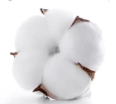 мма шорты: Комплект, Новый — 4