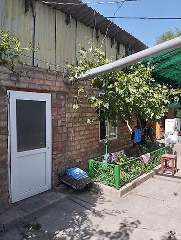 Дома: Продаю саманный штукатурный дом,,,пять комнат,,, кухня,, — 9