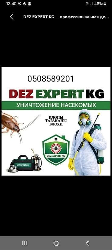 таракан ош: Профессиональная дезинсекция DEZ EXPERT KG Уничтожение насекомых: - — 1