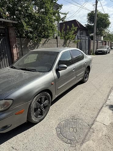 аламединское ущелье: Nissan Almera: 2002 г., 2 л, Автомат, Бензин — 4