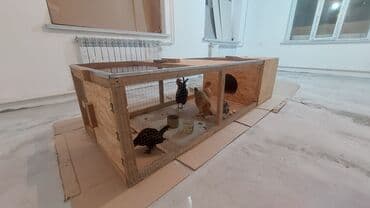 домик для птицы: Клетка для цыплят, курей, индюшат. Зоотовары. сетки для кур с — 3