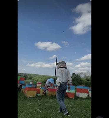 Жумуш: 🐝 Требуются работники на пасеку в Казахстан 🇰🇿 Приглашаем на работу — 1