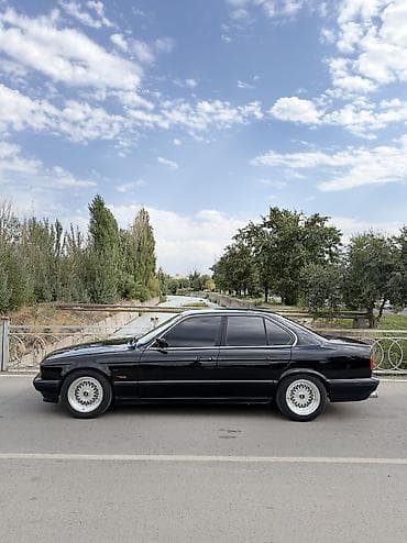 byd leopard: BMW 520: 1995 г., 2 л, Механика, Бензин, Седан — 6