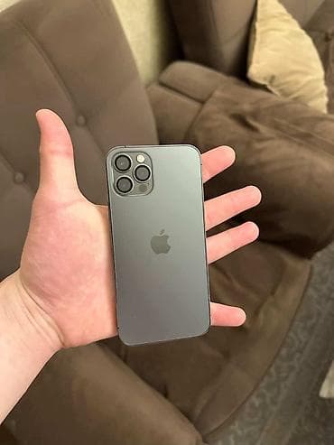 s pen: IPhone 12 Pro, Б/у, 256 ГБ, Графит — 1