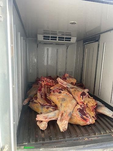 авто грузовые: Легкий грузовик, Hyundai, Стандарт — 4