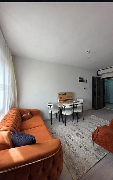 подселением квартира: Студия, Риэлтор, Без подселения, С мебелью полностью — 4