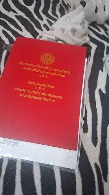 жер сатылат кызыл кыя: 5 соток, Айыл чарба үчүн, Кызыл китеп — 4