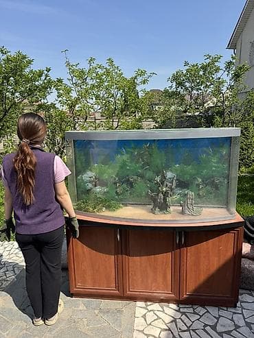 тумба под аквариум: Аквариум с тумбой, панорамное (изогнутое) переднее стекло. - Большой — 2