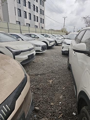 zeeker 001: Zeekr : | 2020 г. Кроссовер — 2