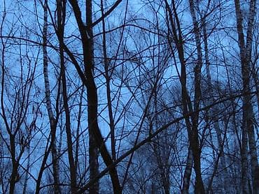 insta x3: Зеркальная фотокамера Sony α550 с комплектным объективом и — 7