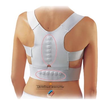 корректор осанки купить ош: Корсеты, корректоры осанки, пояса для спины, реклинаторы 9-11 — 1