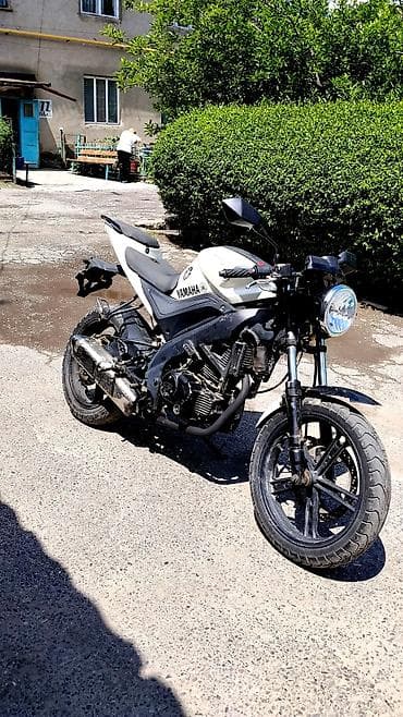 мото желмая: Naked Yamaha, 300 куб. см, Бензин, Взрослый — 1
