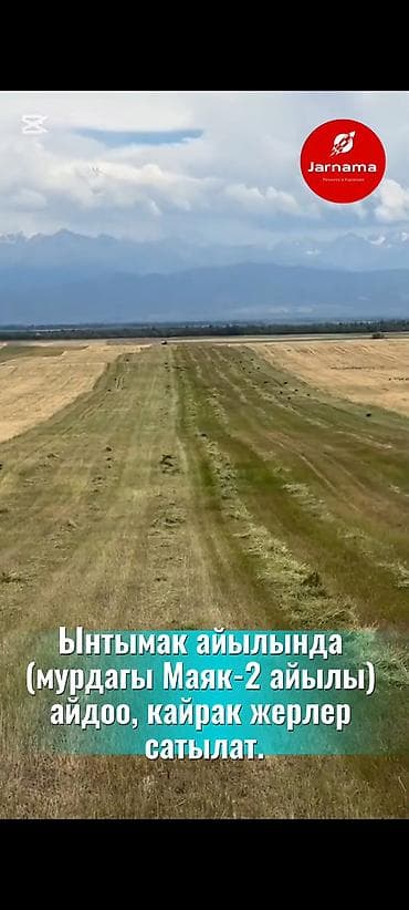 13000 соток, Для сельского хозяйства, Красная книга at lalafo.kg 13000 соток, Для сельского хозяйства, Красная книга