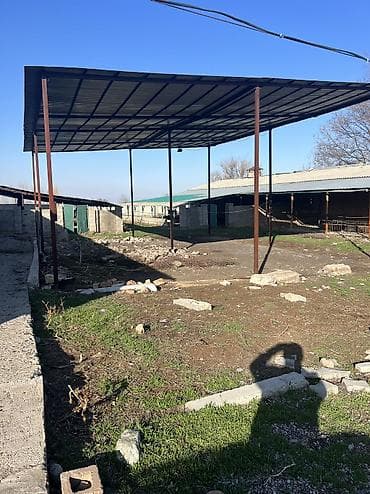 продаж дом ак босого бишкек: Кой короо, 1000 соток, Иштеп жаткан, Жарым-жартылай жабдуулары менен, Электр энергиясы, Муздак суу — 7