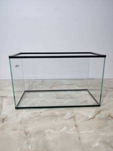 аквариумная рыбка: Прямоугольные — 4