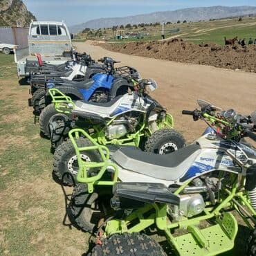 муравей мотосикл: Квадроцикл Бензин, 1500 куб. см, Взрослый — 1