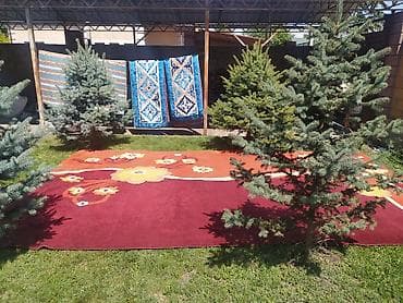 иранские ковры: Ковер 500 * 300, Иран — 2
