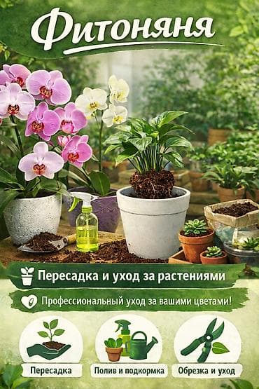 Фитоняна для ваших растений! Помогу: пересадить, полить, обработать