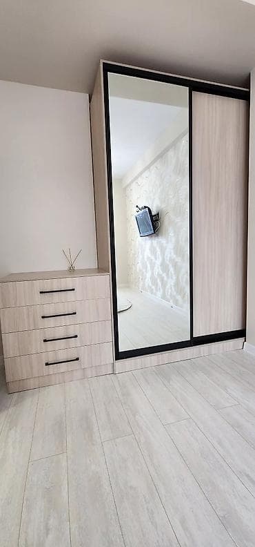 квартиры бишкек аламедин 1: 1 бөлмө, Менчик ээси, Толугу менен эмереги бар — 9