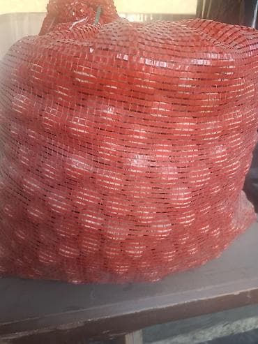 макадамия цена за 1 кг: Продаю Грецкий орех 50 сом кг есть торг. - Натуральные орехи в — 3