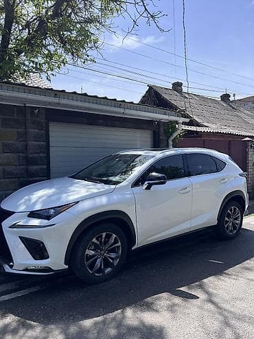 mini cooper s: Lexus NX: 2020 г., 2 л, Автомат, Бензин, Кроссовер — 1