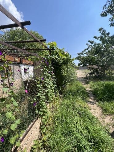 продажа дома в токмаке: Дом, 40 м², 2 комнаты, Риэлтор, Косметический ремонт — 2