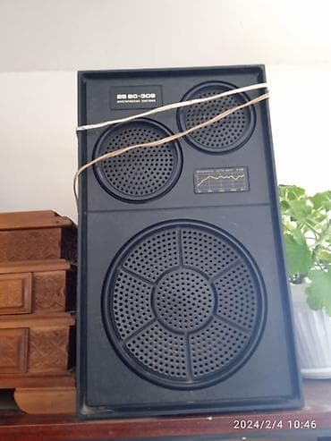 Акустическая система 25 АС-309 - Тип: напольная/полочная пассивная